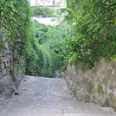 Udammusu34 Ragusa